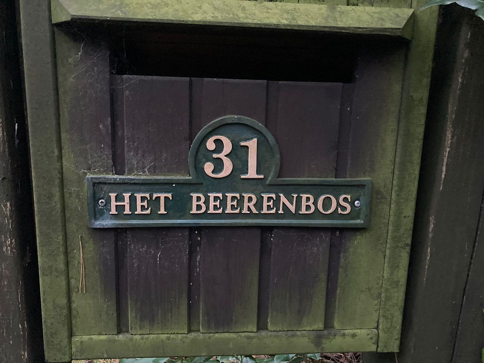 Guest house 044215 - Bungalow Antwerp - Het Beerenbos