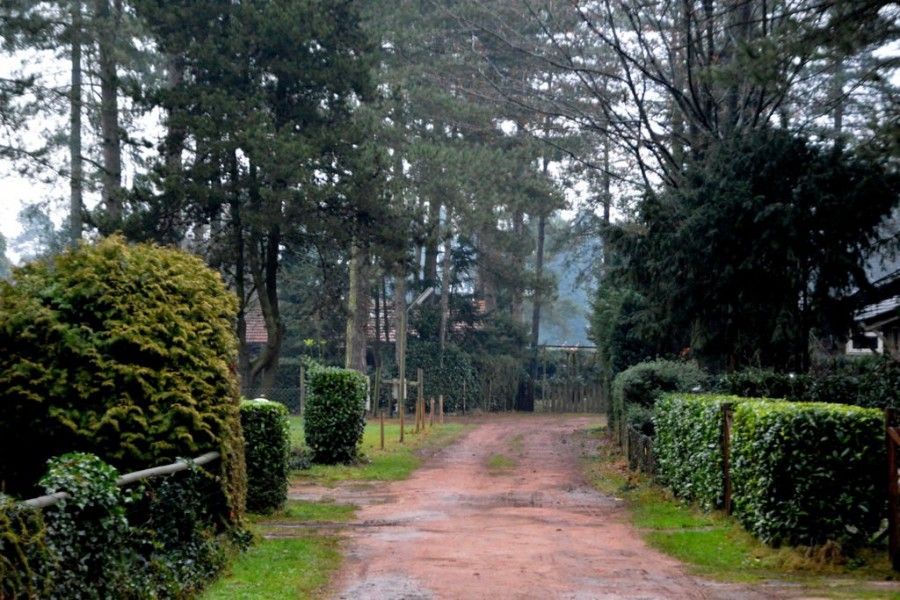 Rustikaler Weg mitten im Gruenen im Chalet Sigal in Poppel, Antwerpen. Ideal fuer Naturliebhaber.