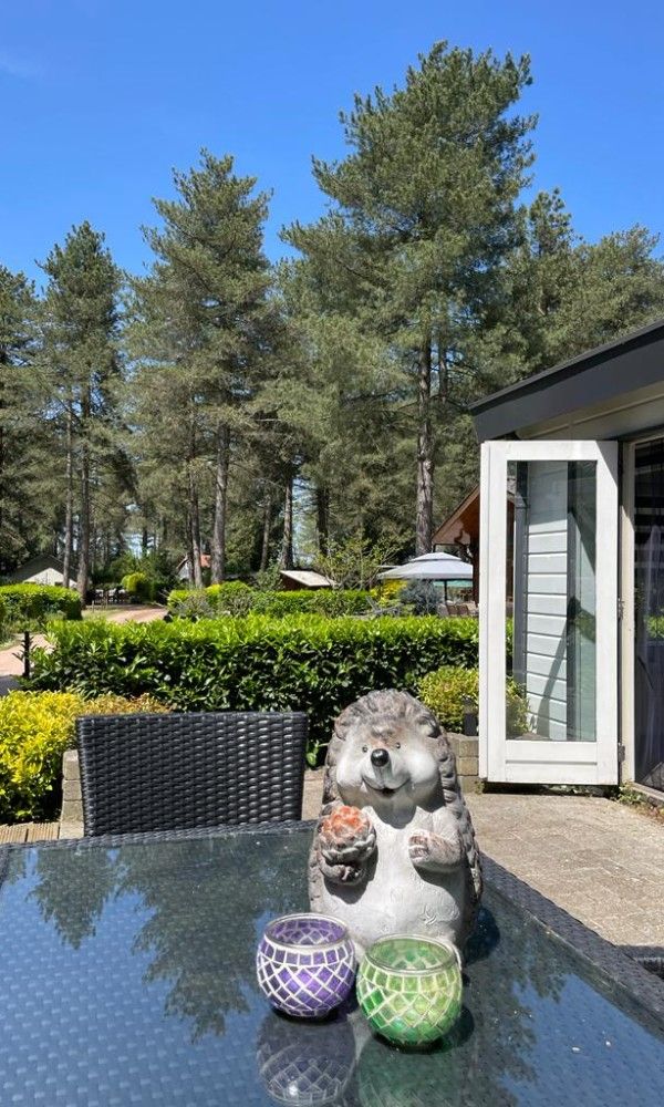 Gemuetlicher Aussenbereich mit Dekoration im Chalet Sigal in Poppel, Antwerpen. Geniessen Sie die heitere Umgebung.