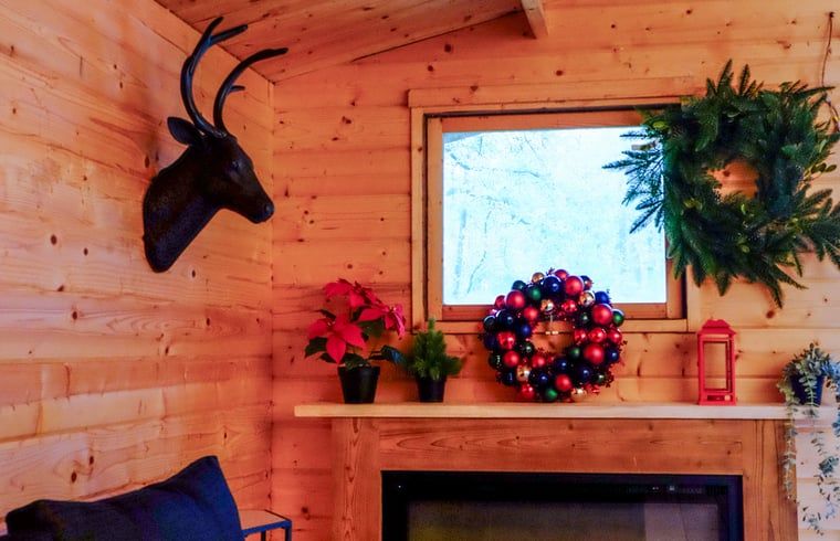 Guest house 048007 - Holiday property Antwerp - Huisje in Wechelderzande