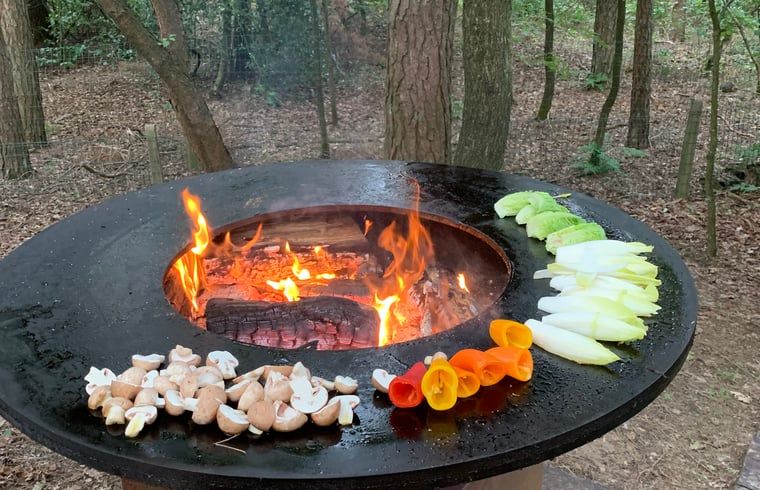 Guest house 048007 - Holiday property Antwerp - Huisje in Wechelderzande