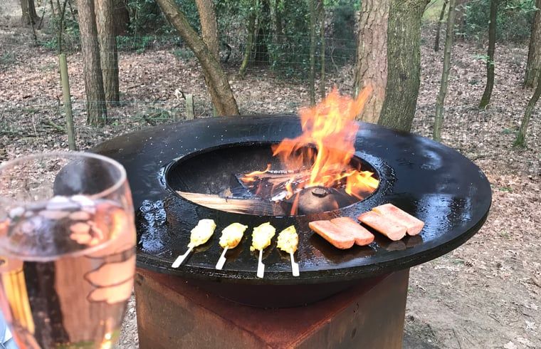 Guest house 048007 - Holiday property Antwerp - Huisje in Wechelderzande