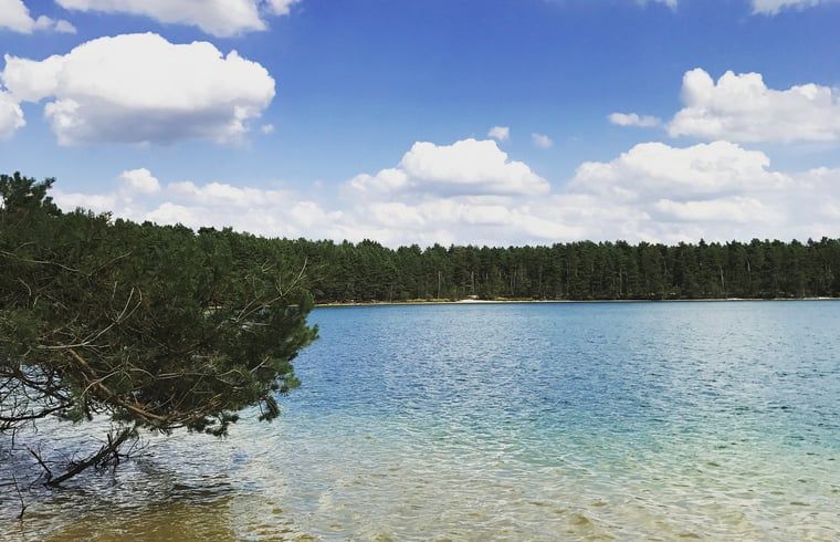 Guest house 048007 - Holiday property Antwerp - Huisje in Wechelderzande