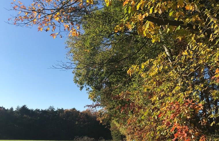 Guest house 048007 - Holiday property Antwerp - Huisje in Wechelderzande