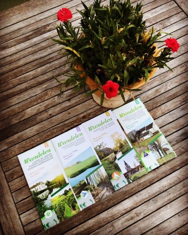FreLune vakantiehuis in Tongeren biedt wandelbrochures en kleurrijke bloemen voor natuurverkenning in Limburg.
