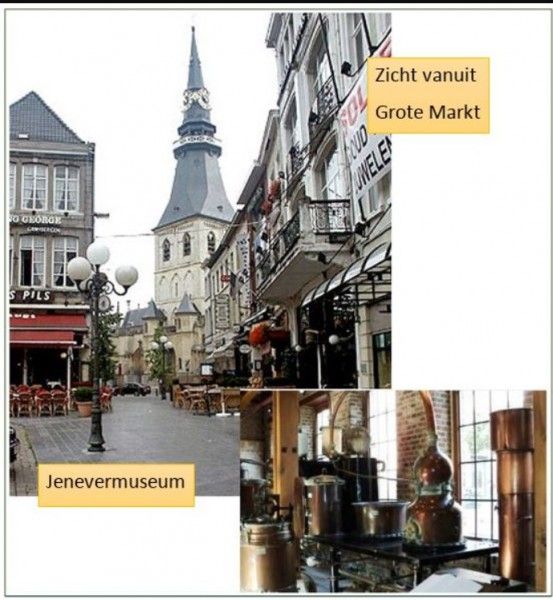 Historische Grote Markt in Hasselt, nabij StadOase-Hasselt vakantiehuis, Belgie.