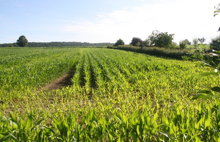 Verblijf 053702 - Vakantiewoning Limburg - Huisje in Sint Pietersvoeren
