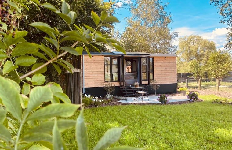 Unterkunft 054603 - Ferienhaus Limburg - Vakantiehuisje in Tessenderlo
