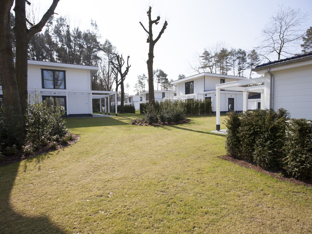 Mooi Zutendaal 6-persoons villa in Limburg, Belgie met ruime tuin en moderne architectuur, omgeven door groene natuur.