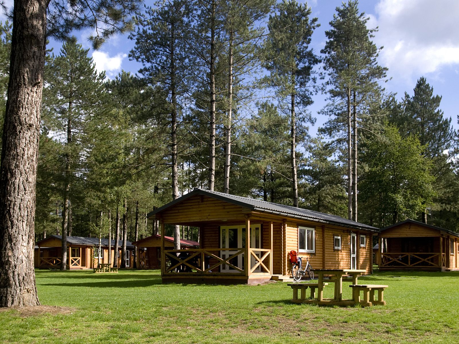 Mooi Zutendaal 4-persoons chalet 4B1 in Zutendaal, Limburg, Belgie, omringd door natuur en hoge bomen, ideaal voor een ontspannen vakantie.