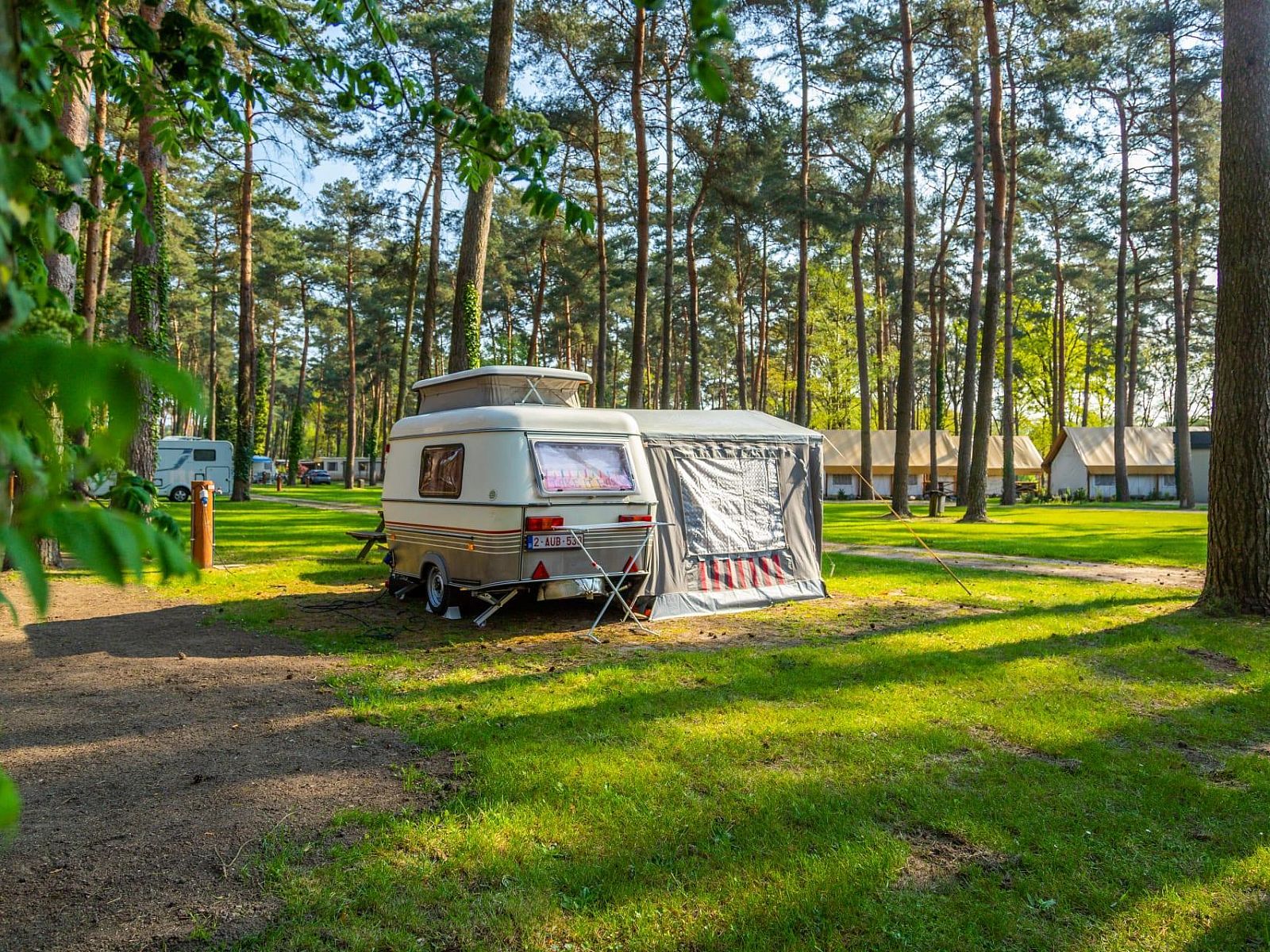 Kampeerplaats Comfort in Zutendaal, Limburg, Belgie met caravan en groene omgeving omringd door hoge bomen.