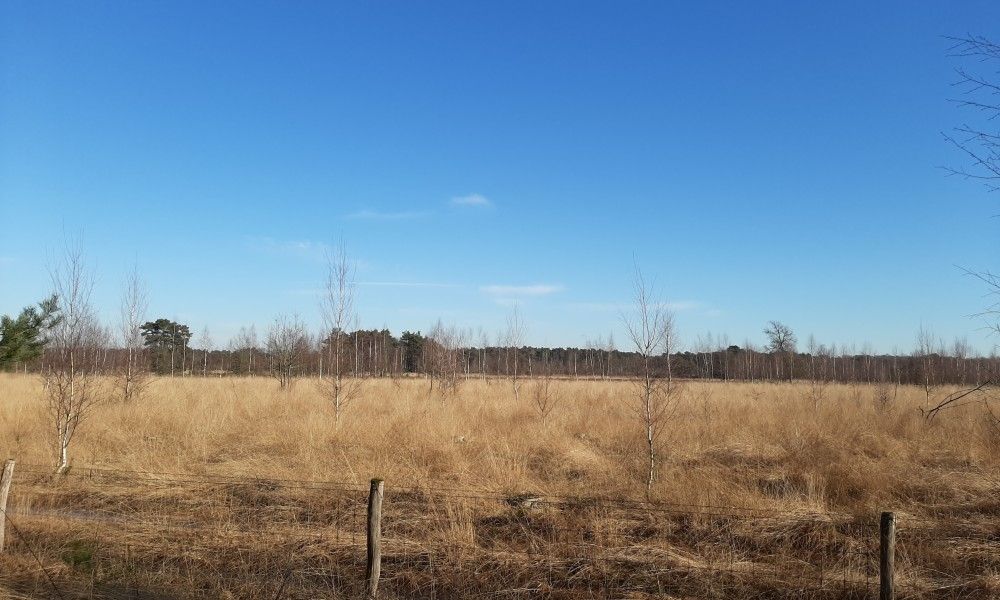 Image 19