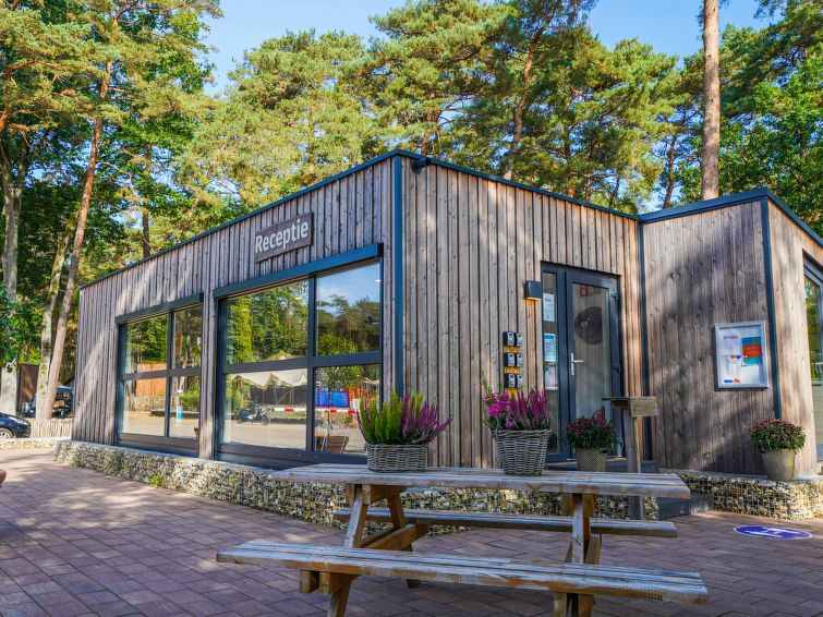 Unterkunft 056314 - Ferienhaus Limburg - Vakantiehuis Papendaal lodge 6 Glampingtent
