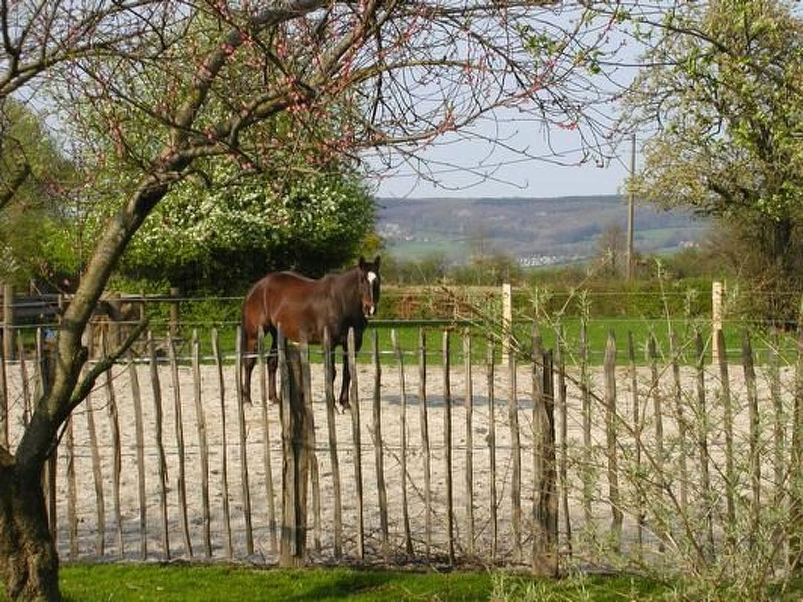 Guest house 060421 - Apartment Liege - Appartement Vue au Jardin