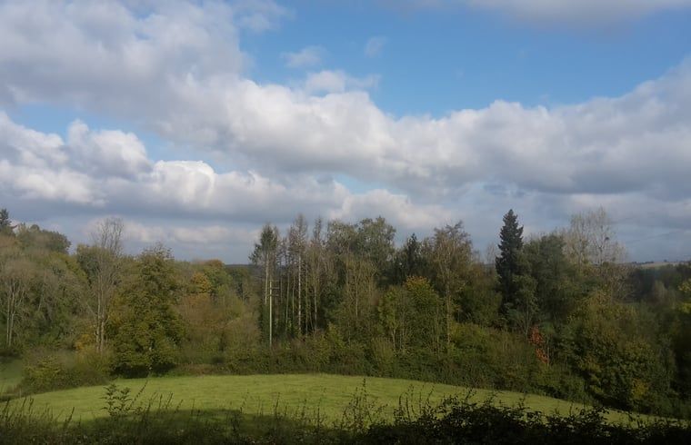 Blick auf die gruene Natur rund um das Ferienhaus in Comblain au Pont, gelegen in den Ardennen, Luettich, Belgien.