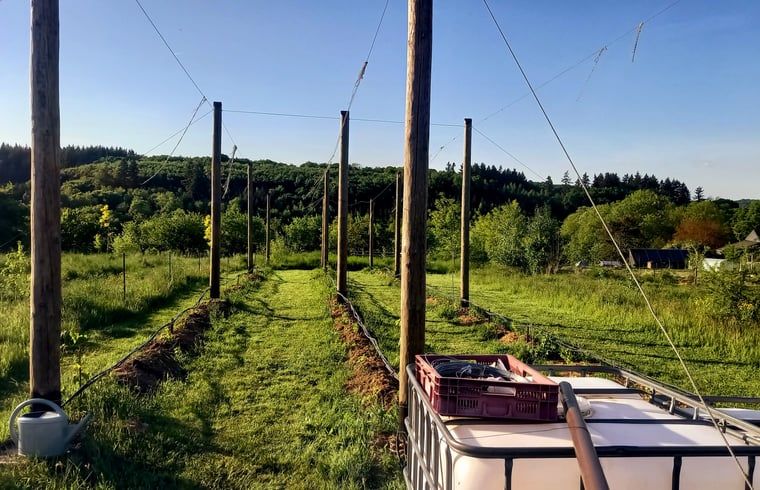 Geniessen Sie die gruene Umgebung im Holiday home in Comblain au Pont, einem idyllischen Ferienhaus in den Ardennen, Luettich, Belgien.