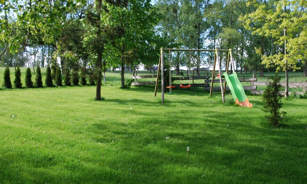 Speelplaats met schommel bij Gites d'Ogne vakantiehuis in Sprimont-Ogne, Ardennen, omgeven door natuur en bomen.