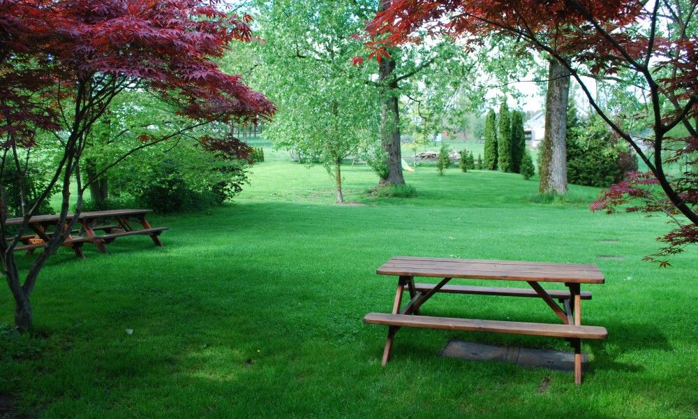 Picknicktafels in de tuin van Gites d'Ogne vakantiehuis in Sprimont-Ogne, Ardennen, ideaal voor buitenmaaltijden.