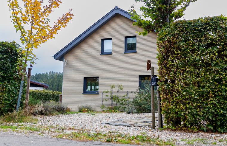 Gruener Gartenweg beim Ferienhaus in Kuechelscheid, einem gemuetlichen Ferienhaus in den Ardennen, Luettich, Belgien, umgeben von Natur.