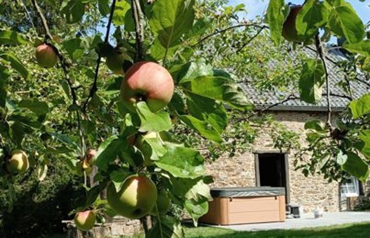 Guest house 069411 - Holiday property Liege - Vakantiehuisje in He