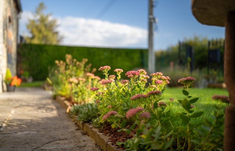 Discover the blooming garden at Holiday Home in Sivry, Hainaut, Belgium, where colorful flowers highlight the natural beauty.