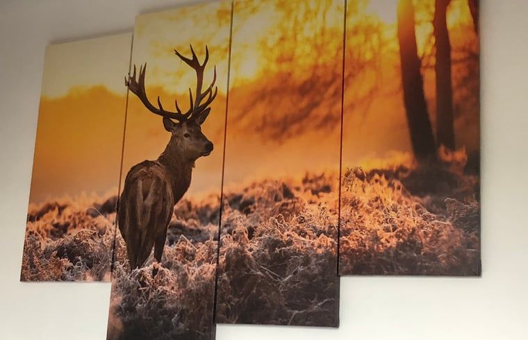 Guest house 070502 - Holiday property Hainaut - Vakantiehuisje in Sivry