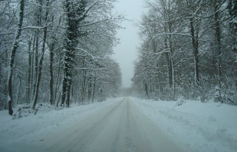 Guest house 070502 - Holiday property Hainaut - Vakantiehuisje in Sivry