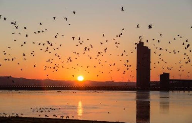 Guest house 070502 - Holiday property Hainaut - Vakantiehuisje in Sivry