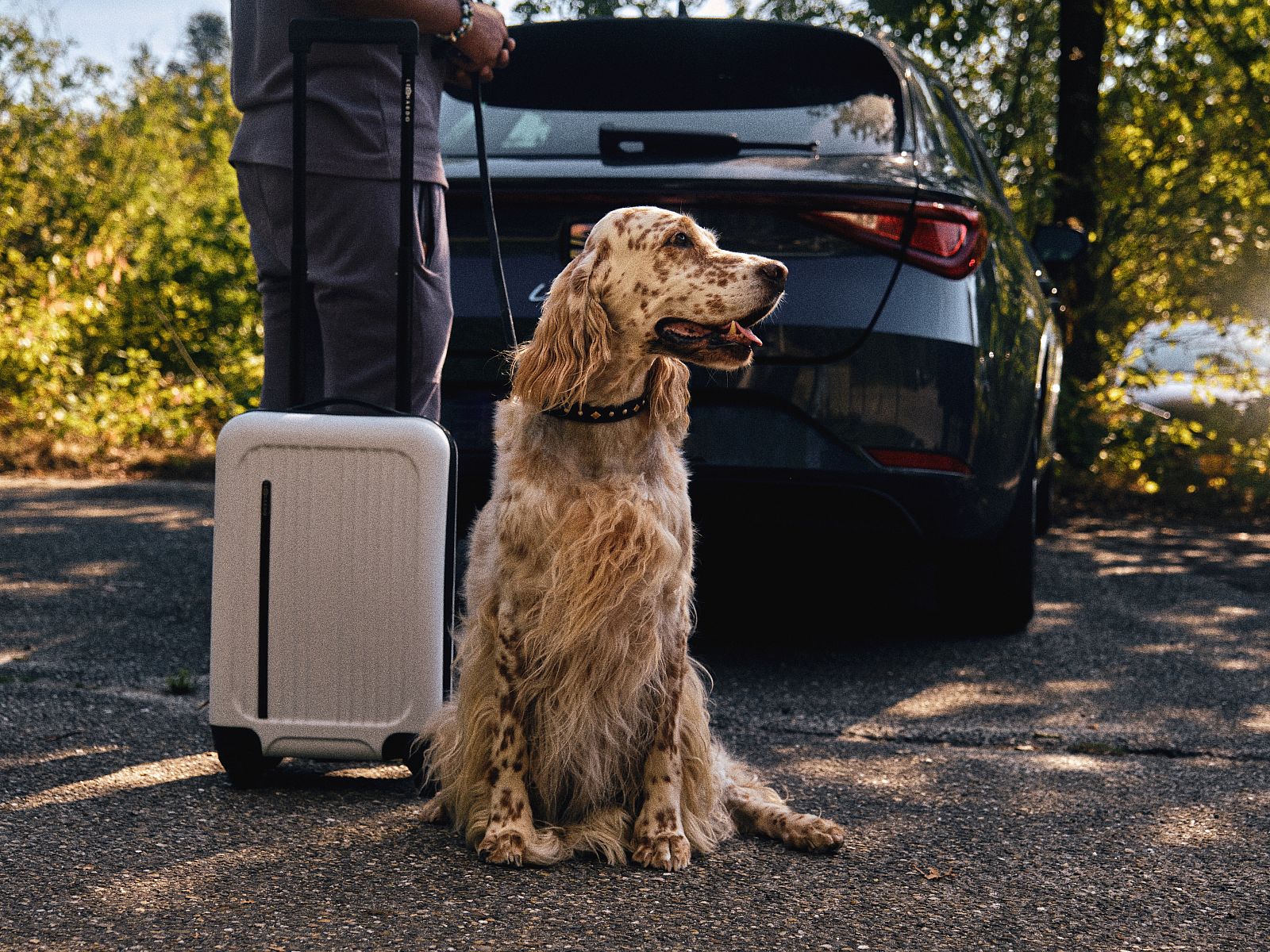 Guest house 070605 - Bungalow Hainaut - Village l'Eau d'Heure | 4-persoons hondenbungalow | 4CD