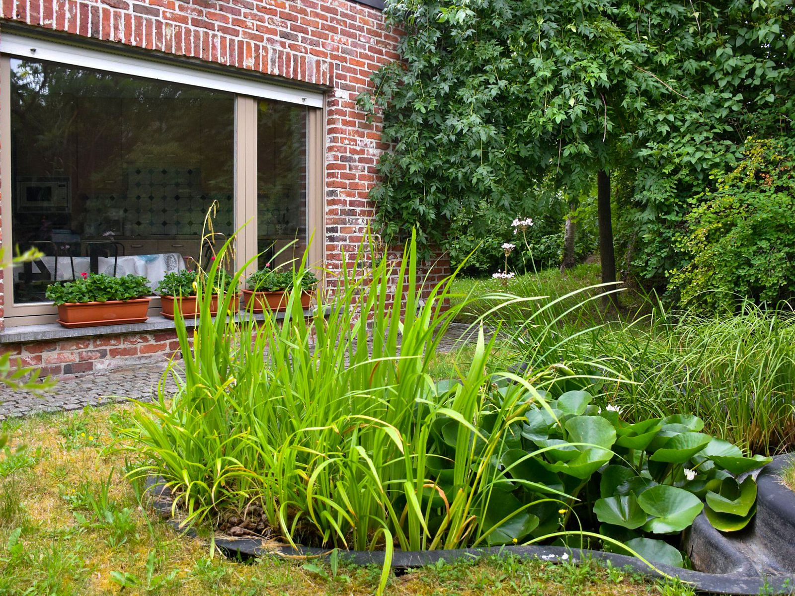 Verblijf 072002 - Vakantiewoning Henegouwen - Vakantiehuis Memories