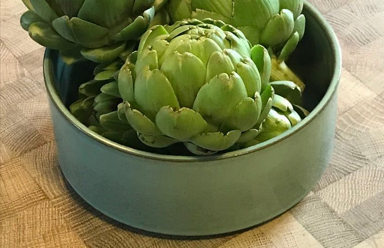 Guest house 072805 - Holiday property Hainaut - Vakantiehuisje in Elzele