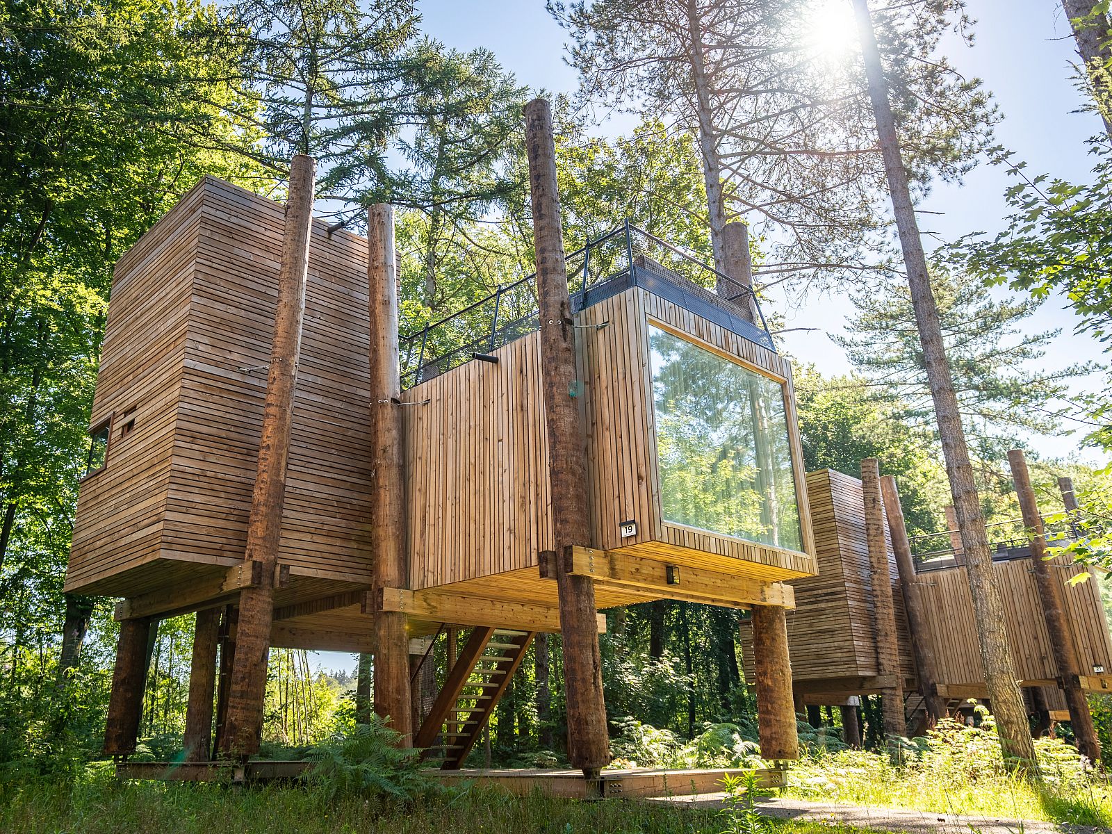 Unterkunft 0735610 - Bungalow Hennegau - 2-4 persoons The Treeloft | 2-4TH