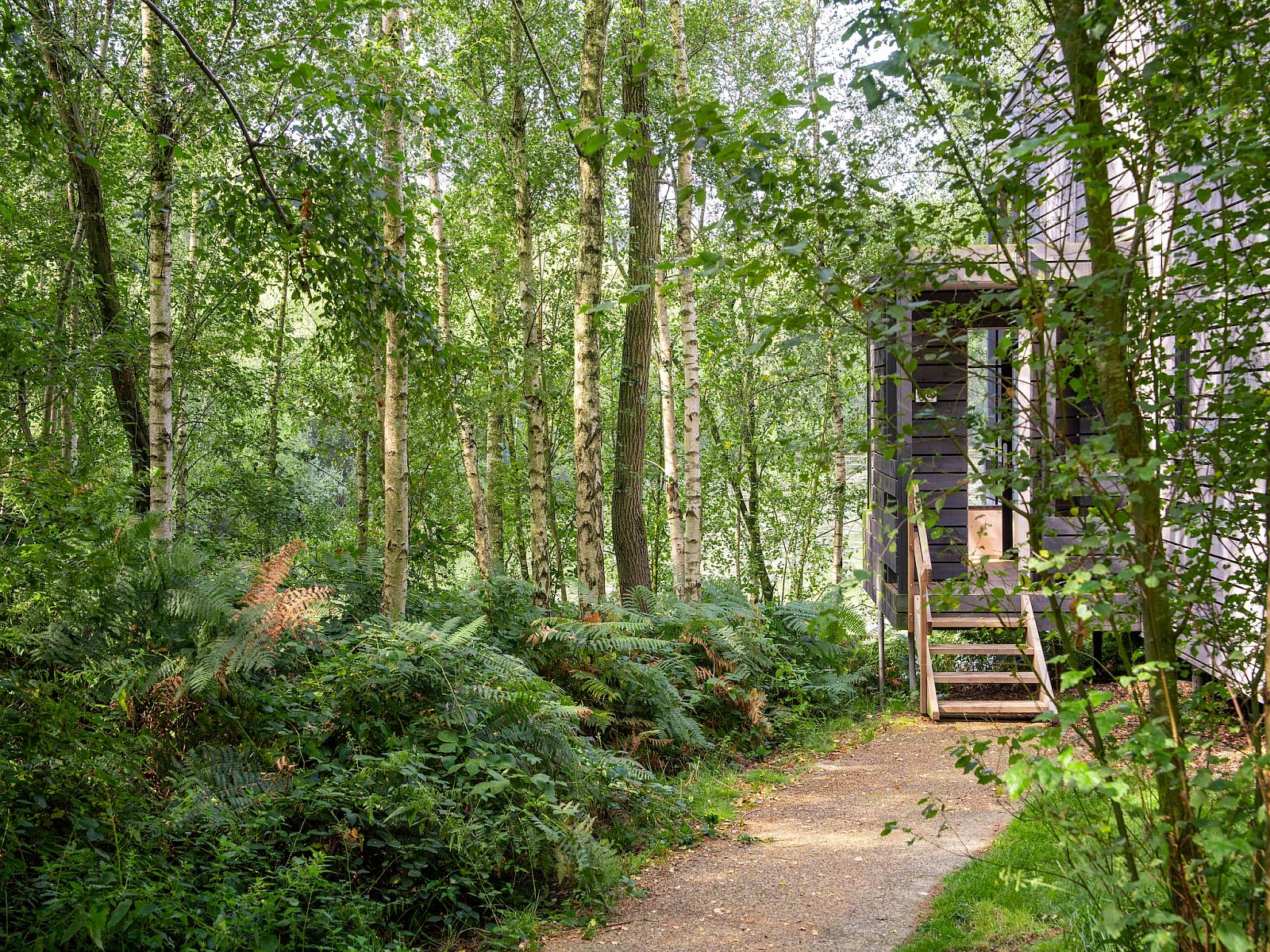 Unterkunft 07356131 - Ferienhaus Hennegau - The Lake House by YourNature