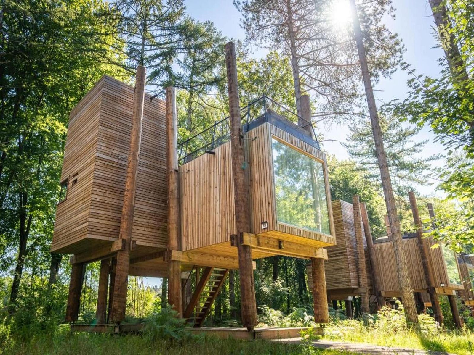 Unterkunft 07356145 - Ferienhaus Hennegau - The TreeLoft by YourNature