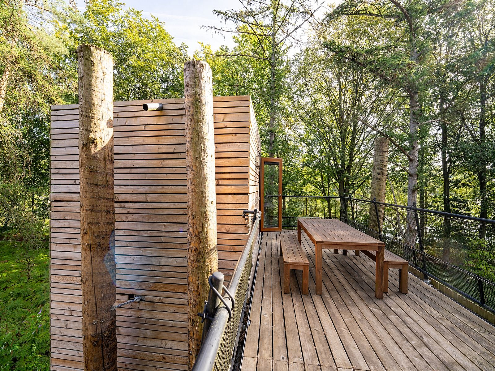 Unterkunft 07356145 - Ferienhaus Hennegau - The TreeLoft by YourNature