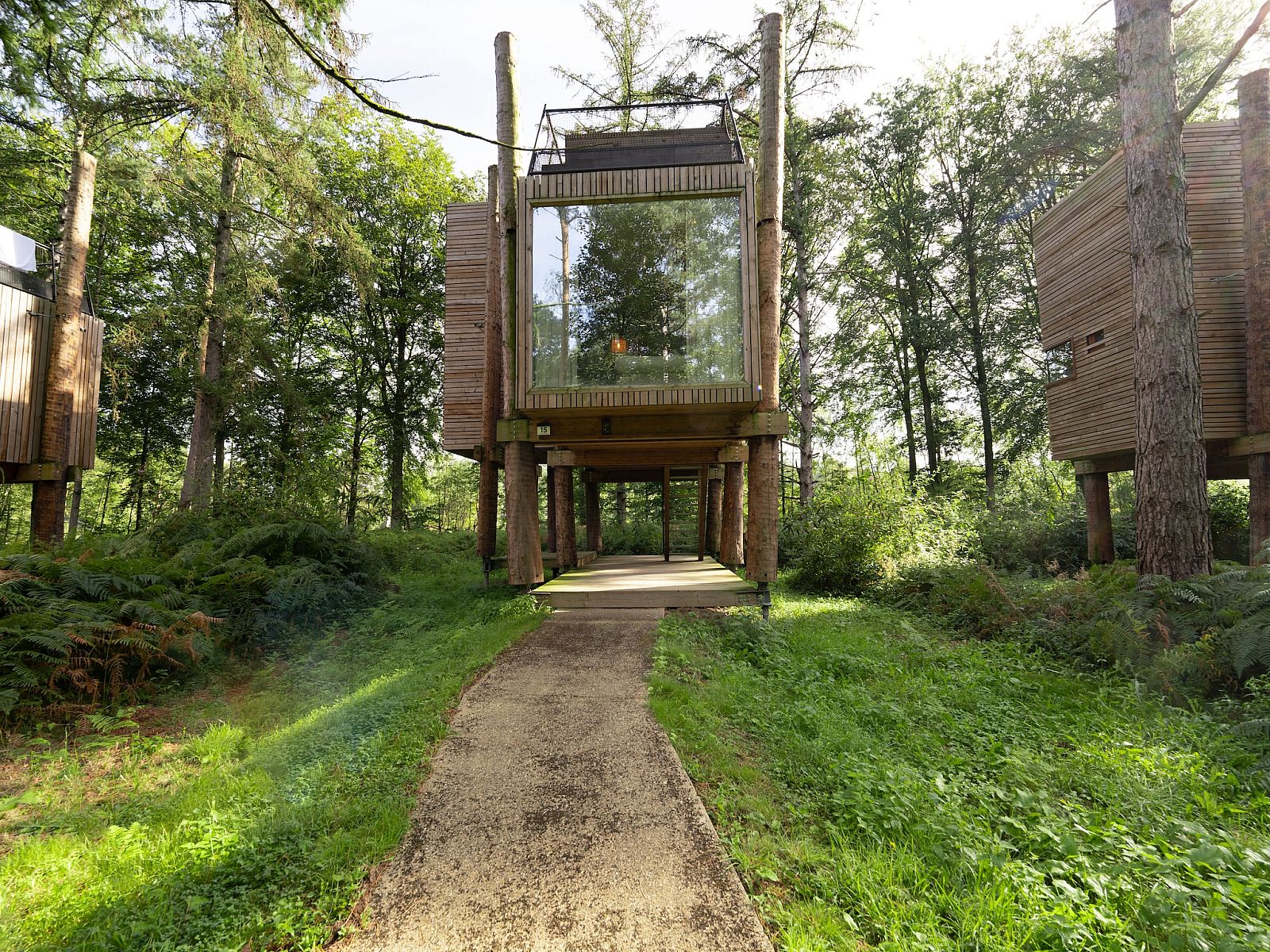 Unterkunft 07356145 - Ferienhaus Hennegau - The TreeLoft by YourNature