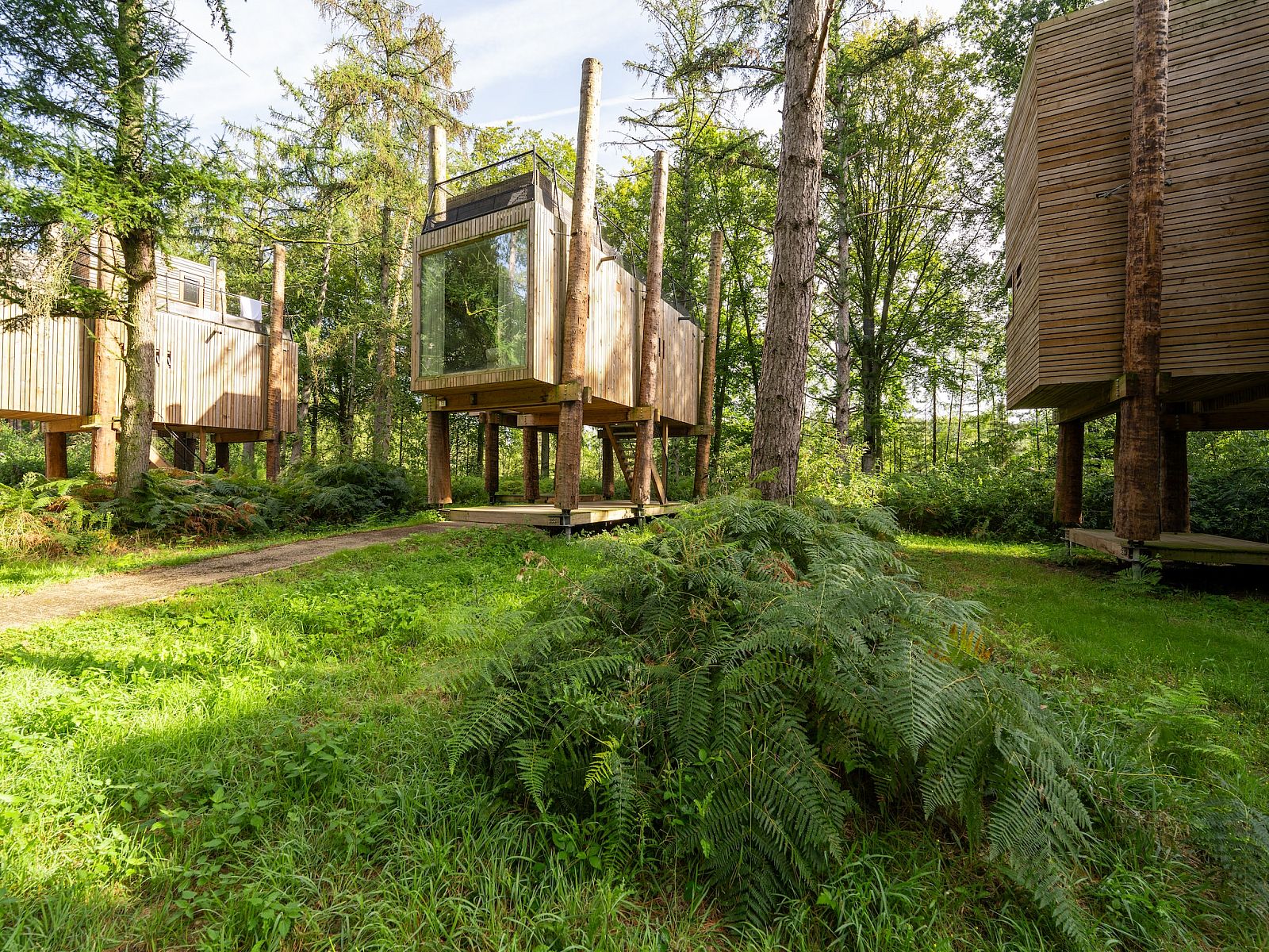 Unterkunft 07356145 - Ferienhaus Hennegau - The TreeLoft by YourNature