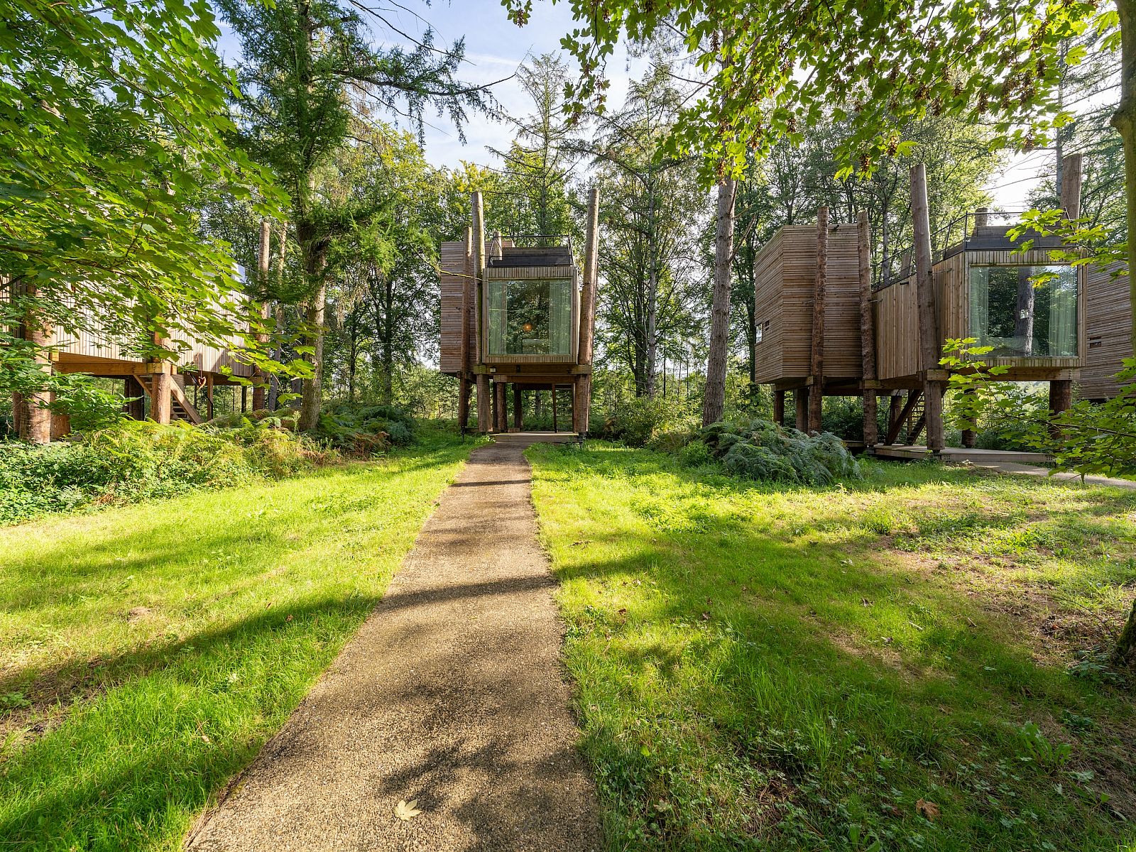 Unterkunft 07356145 - Ferienhaus Hennegau - The TreeLoft by YourNature