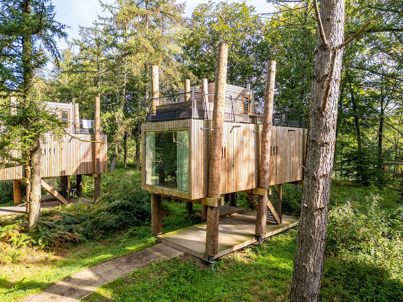 Unterkunft 07356165 - Ferienhaus Hennegau - The TreeLoft by YourNature
