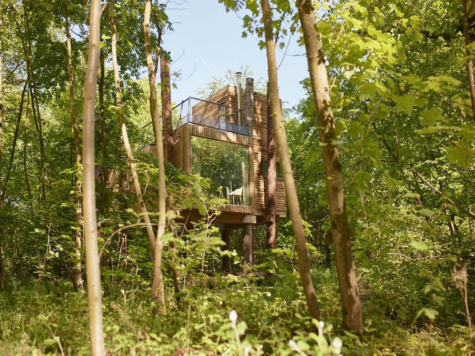 Unterkunft 07356165 - Ferienhaus Hennegau - The TreeLoft by YourNature