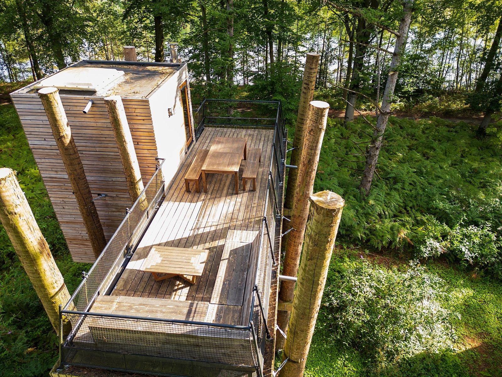 Unterkunft 07356165 - Ferienhaus Hennegau - The TreeLoft by YourNature
