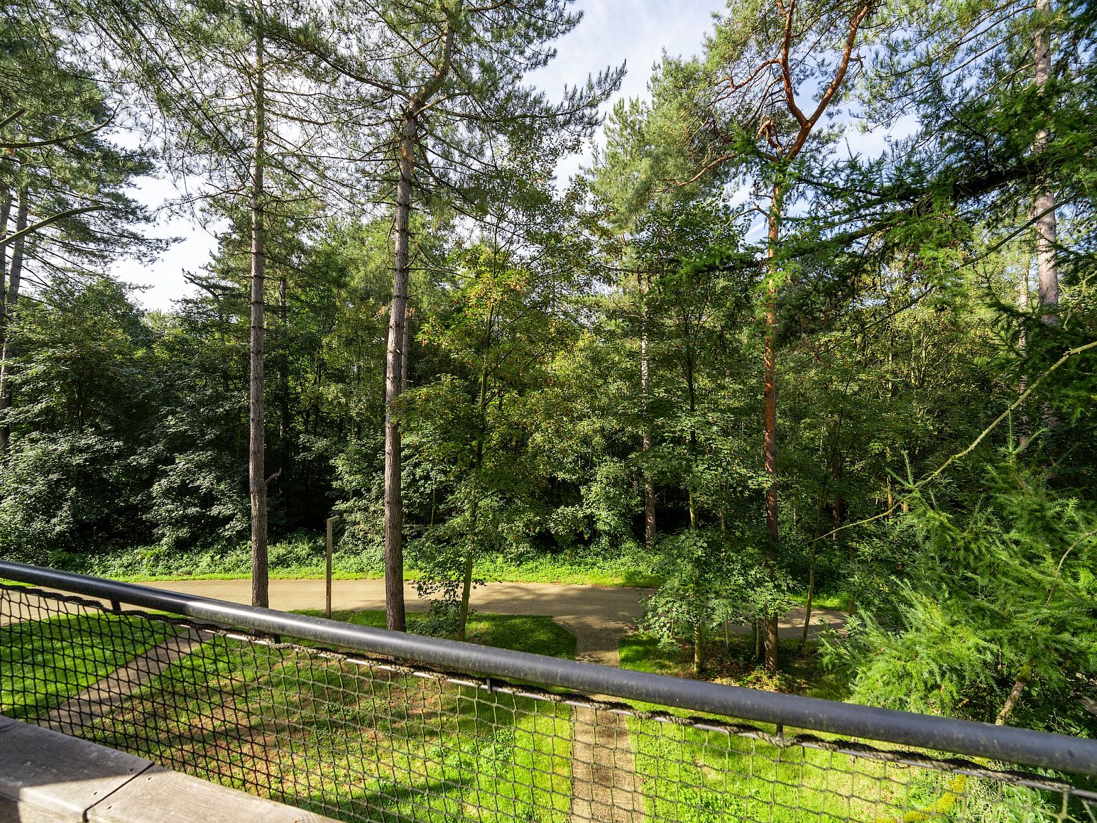 Unterkunft 07356165 - Ferienhaus Hennegau - The TreeLoft by YourNature
