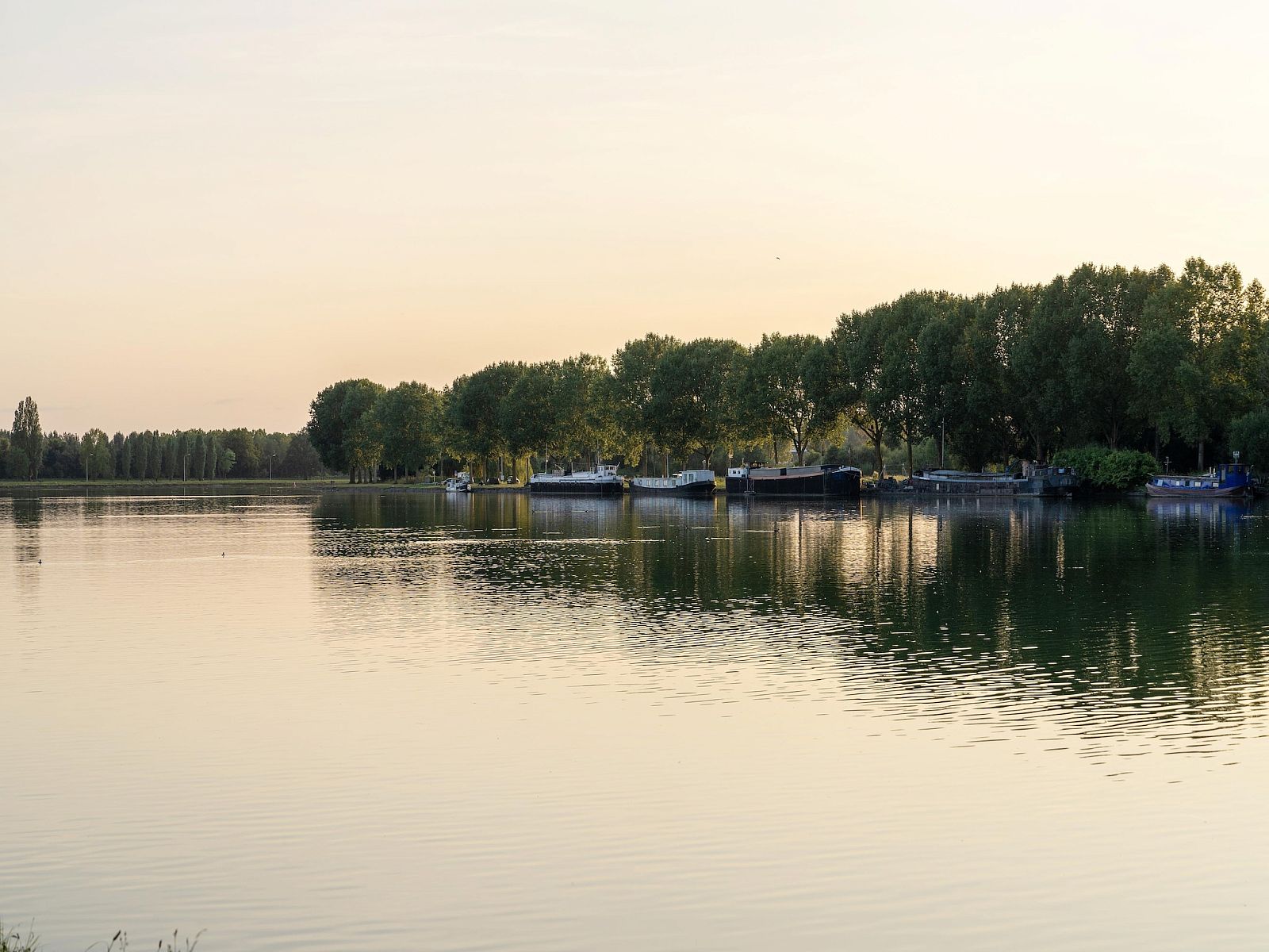 Guest house 07356185 - Bungalow Hainaut - The Leaf by YourNature