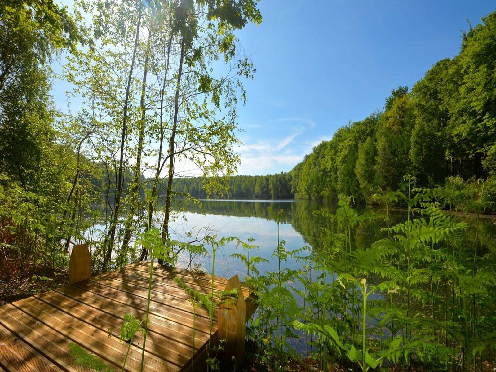 Unterkunft 0735632 - Chalet Hennegau - The Blue Lodge by YourNature