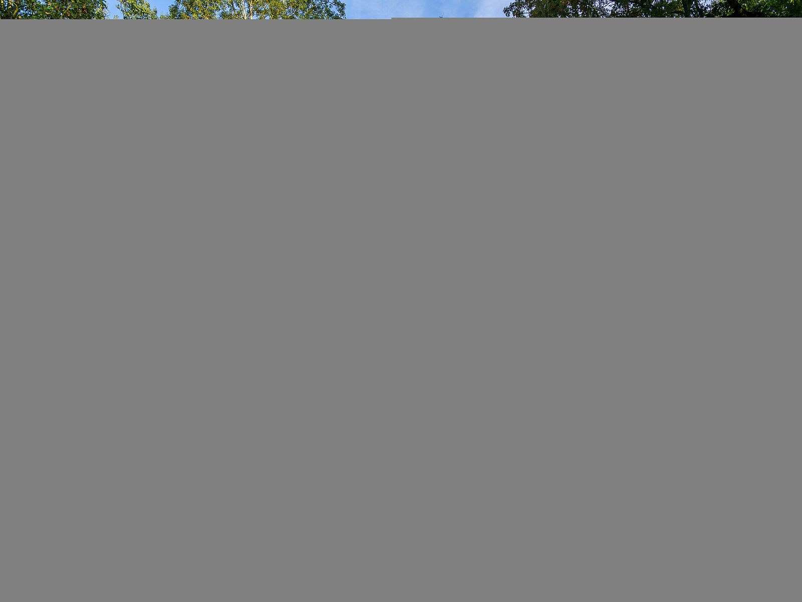 Guest house 0735685 - Chalet Hainaut - The Lodge by YourNature
