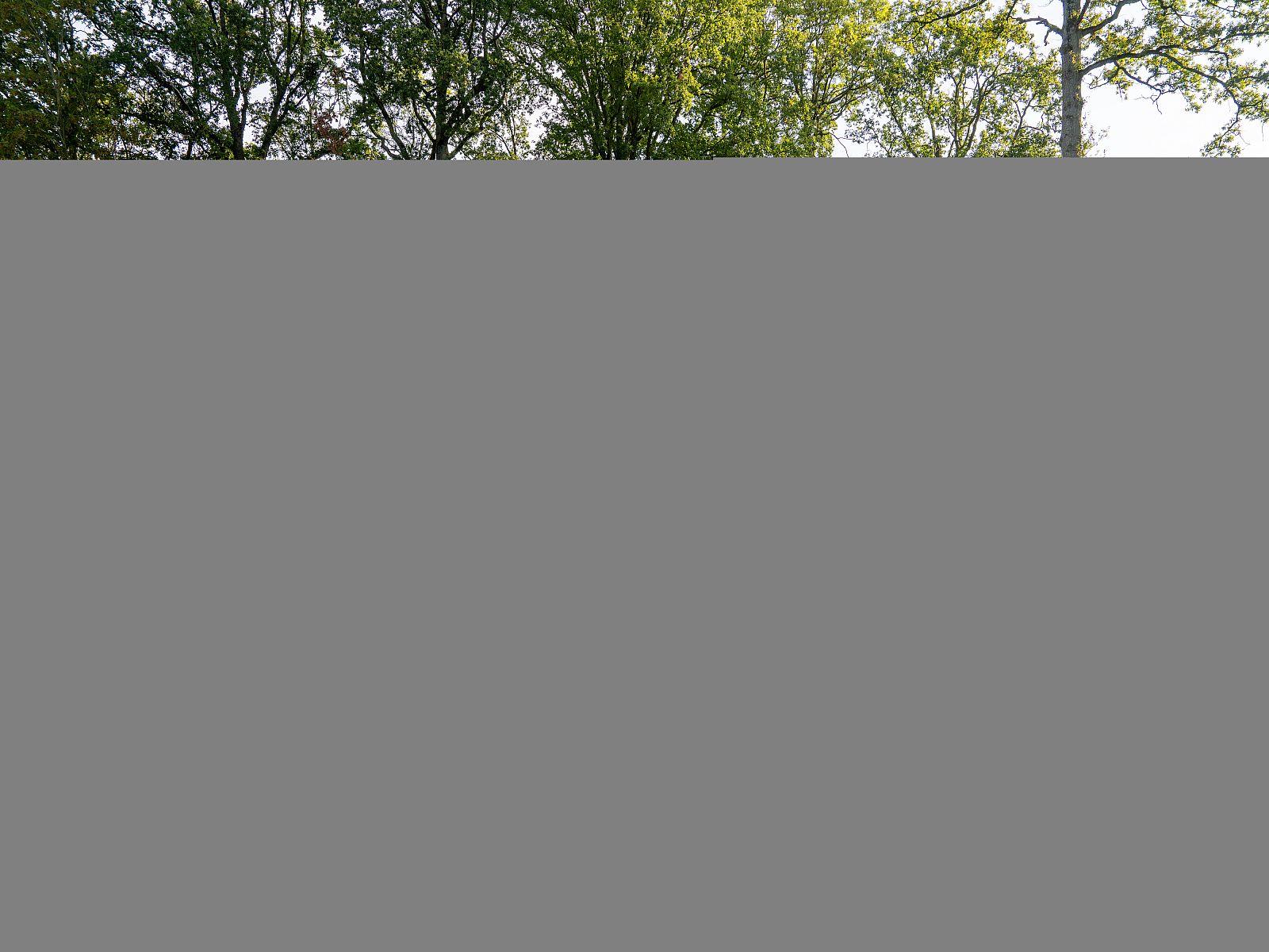 Guest house 0735685 - Chalet Hainaut - The Lodge by YourNature