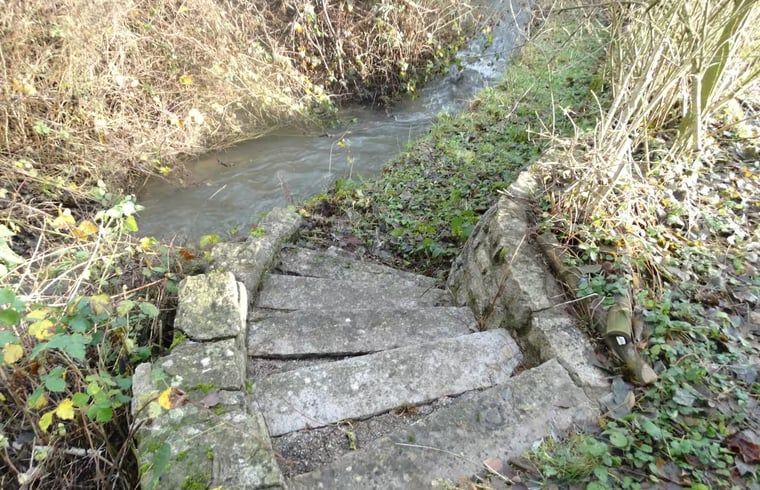 Picture 11