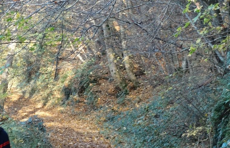 Picture 17