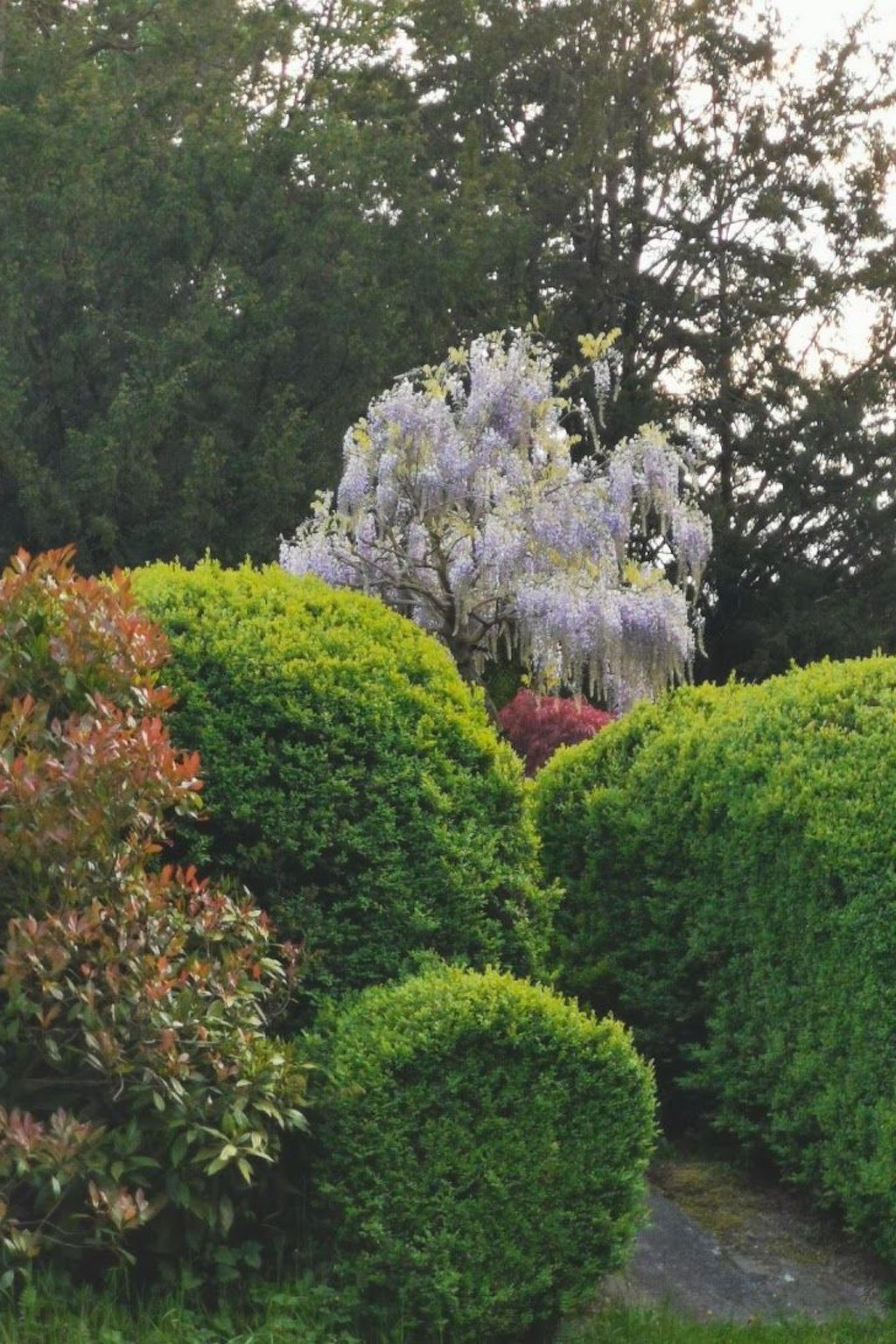 Unterkunft 082008 - Ferienhaus Namur - Vakantiehuis für 8 Personen