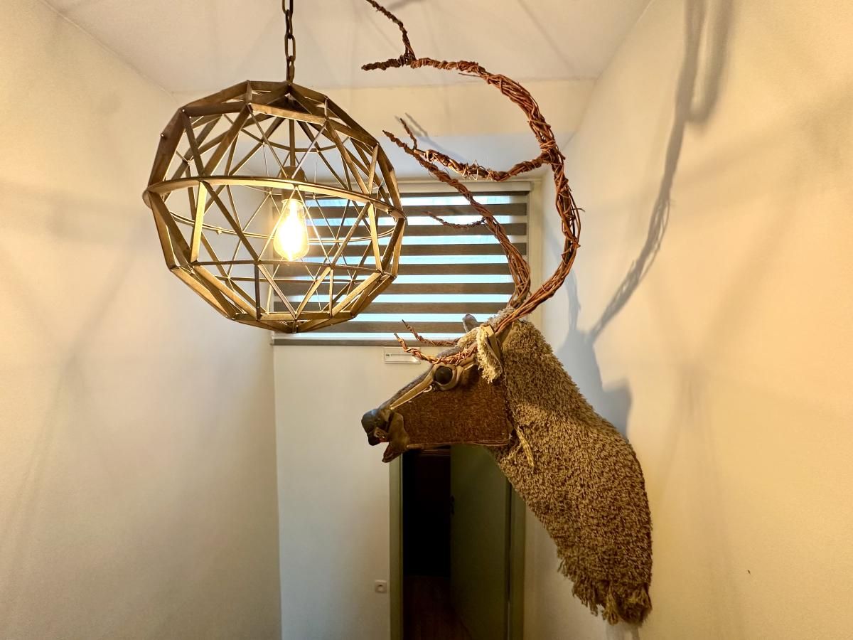 Guest house 0836005 - Holiday property Namur - Léora Cosy